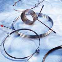 lorem ipsum dolor sit