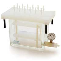 lorem ipsum dolor sit