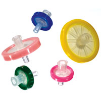 lorem ipsum dolor sit