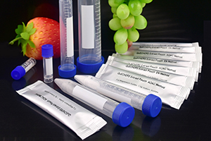 lorem ipsum dolor sit