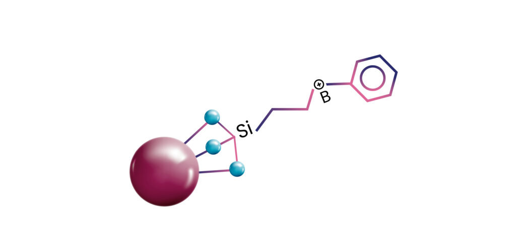 lorem ipsum dolor sit