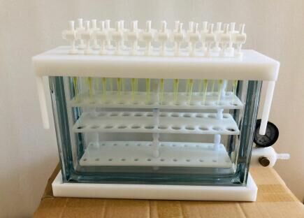 lorem ipsum dolor sit